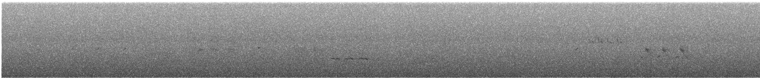 Mirlo Acuático Norteamericano - ML589261351