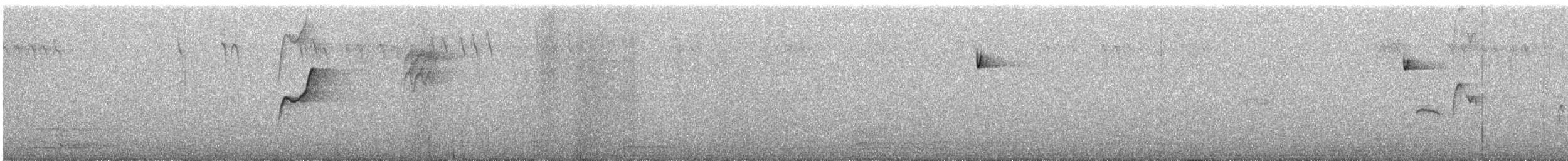 vestempid (difficilis gr.) - ML589267521