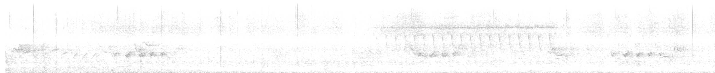 křivka bělokřídlá - ML589273221