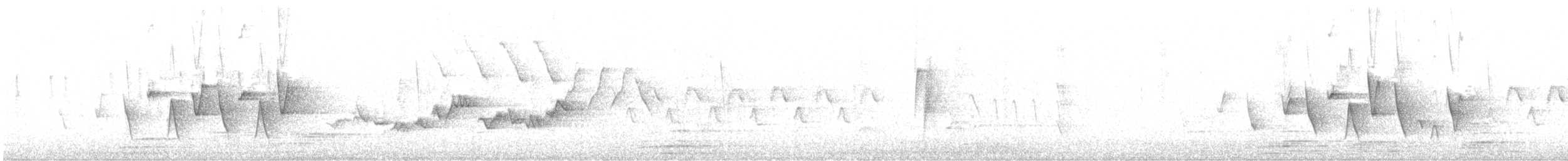 markparula - ML589294681