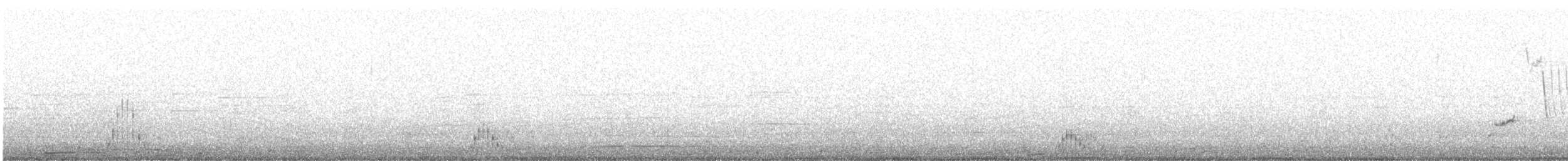 holoubek skřehotavý - ML589297891