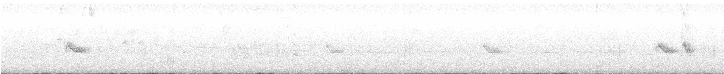 Graumantel-Brillenvogel - ML589319231