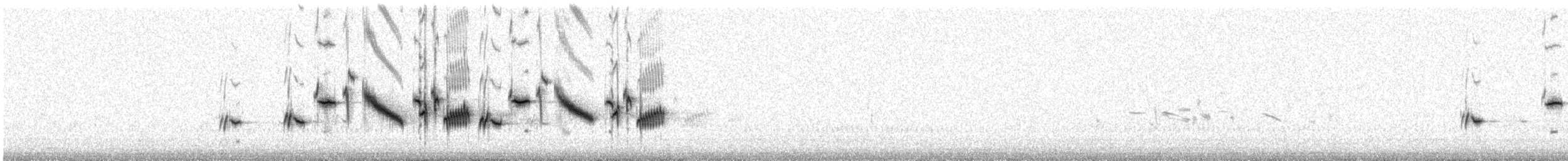 Plectrophane des neiges - ML589323141