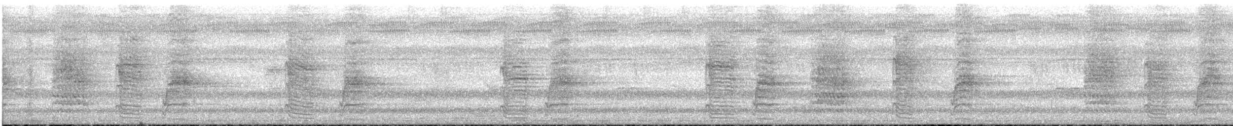 Kadife Sırtlı Drongo (atactus) - ML589325111