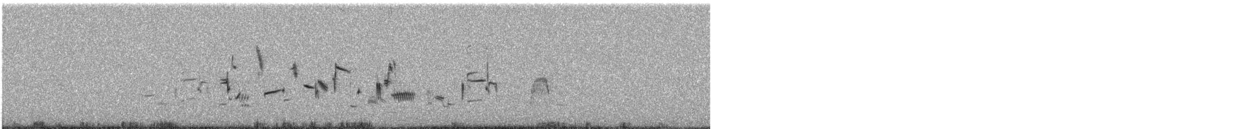 Plectrophane lapon - ML589325711