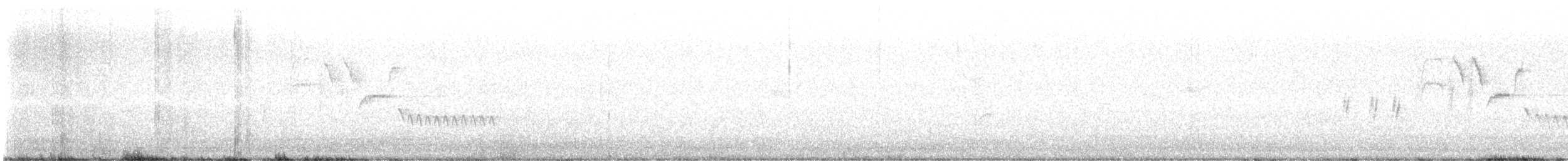 Длиннохвостый крапивник - ML589348131