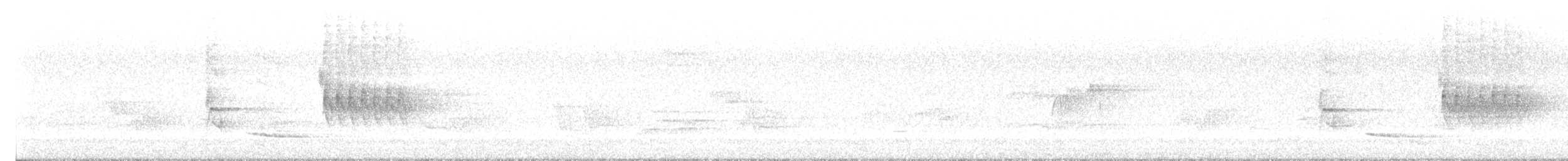 Toquí Flanquirrufo - ML589442471