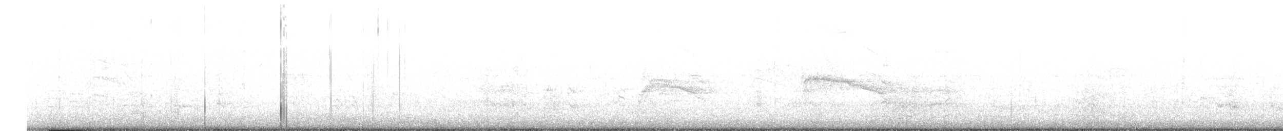 Яструб неотропічний - ML589450121