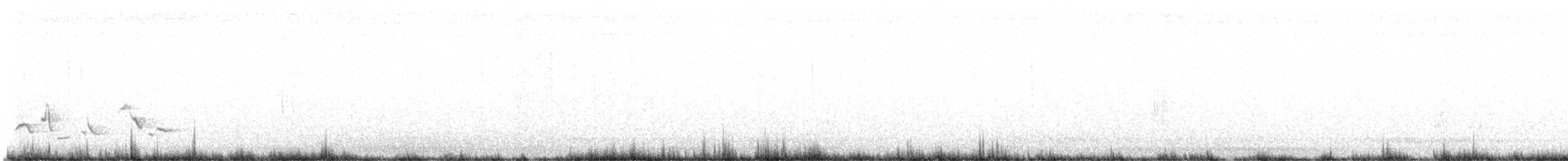 Scott's Oriole - ML589487791