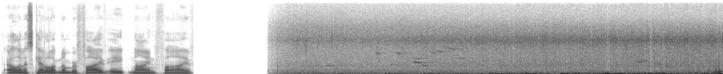 kauaihonningeter - ML5895
