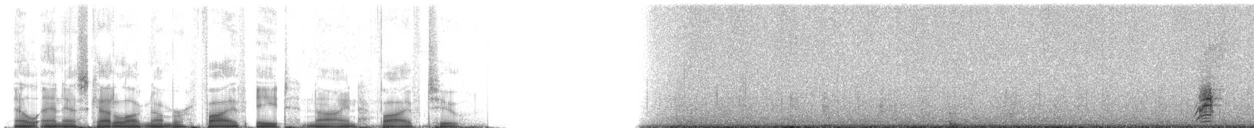 Андский чирок (altipetens) - ML58952