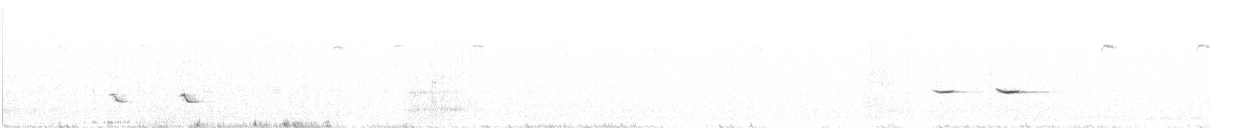 Zozo paparzuria (torquatus) - ML589526181
