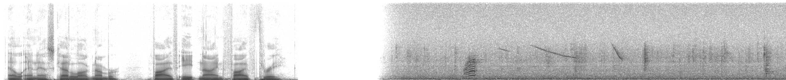 Андский чирок (altipetens) - ML58953