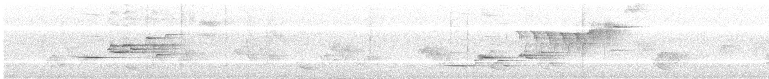 Дрізд-короткодзьоб плямистоволий - ML589546361
