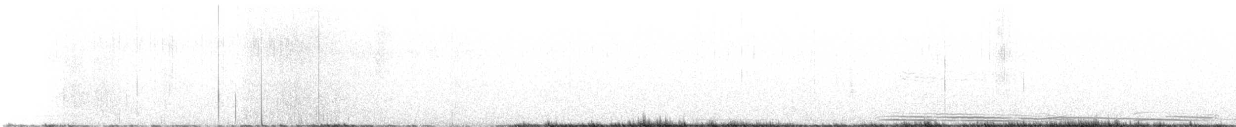 Madeirasturmvogel - ML589564291