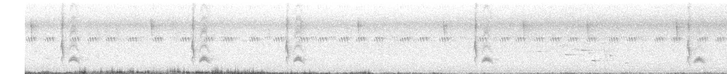 Cassin's Kingbird - ML589580181