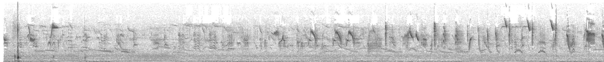 Cannaiola verdognola - ML589585921