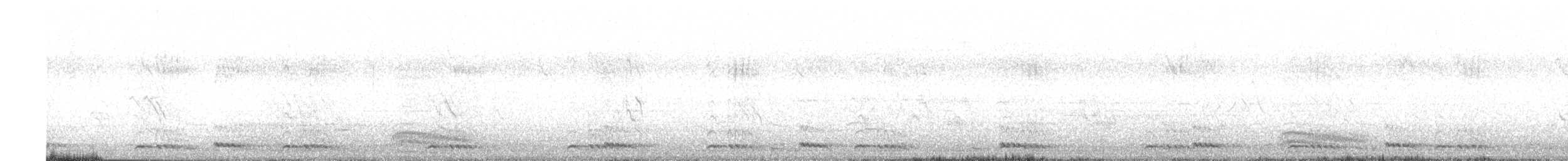 White-cheeked Barbet - ML589586931