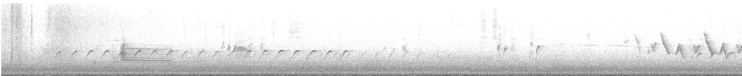 Spotted Sandpiper - ML589598471