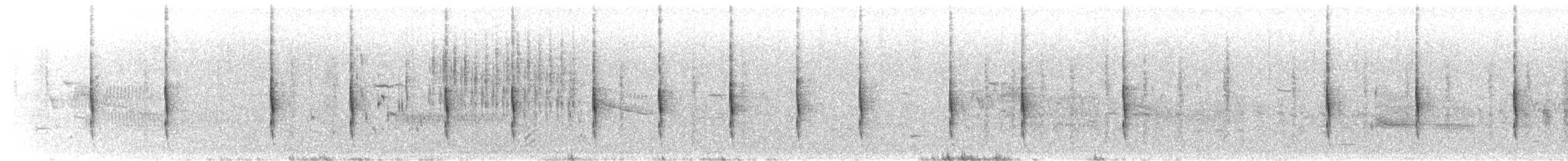 Chingolo Costero (maritimus/macgillivraii) - ML589604961