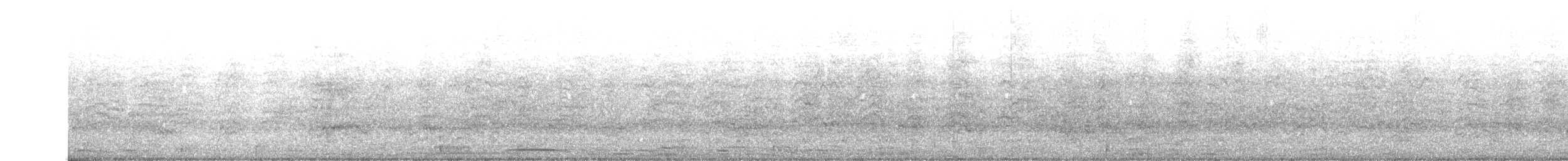 Cordilleran Parakeet - ML589618541
