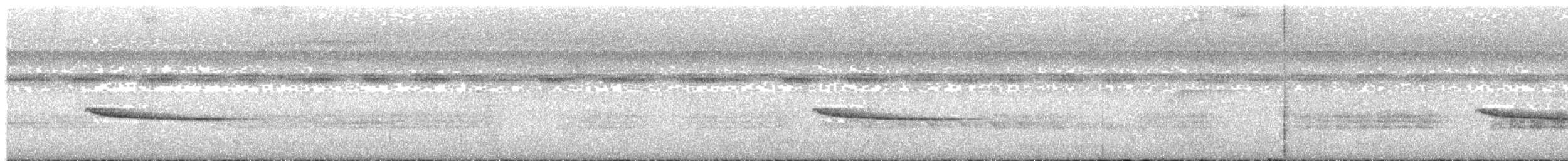 Collared Gnatwren - ML589622471