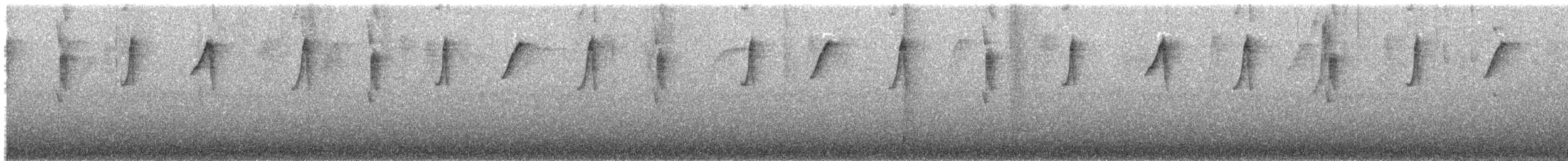 Серогорлый колибри-отшельник - ML589630151