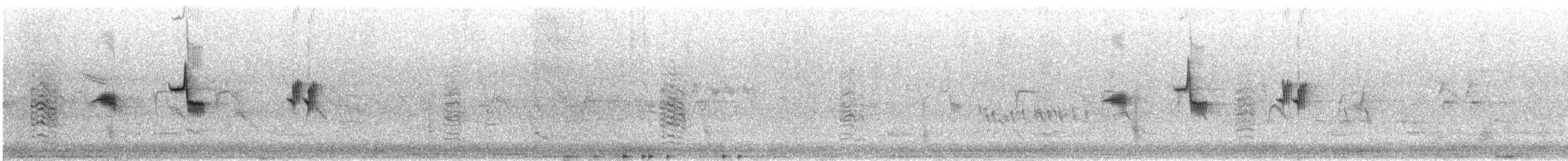 sivspurv - ML589666171