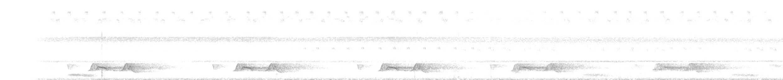 Каролинский козодой - ML589670591