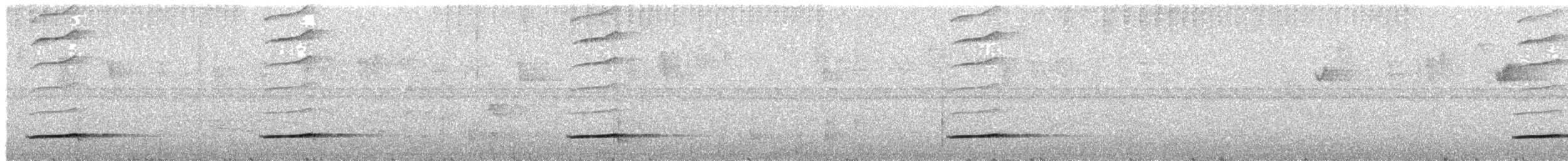 Grallaire de Przewalski - ML589702501