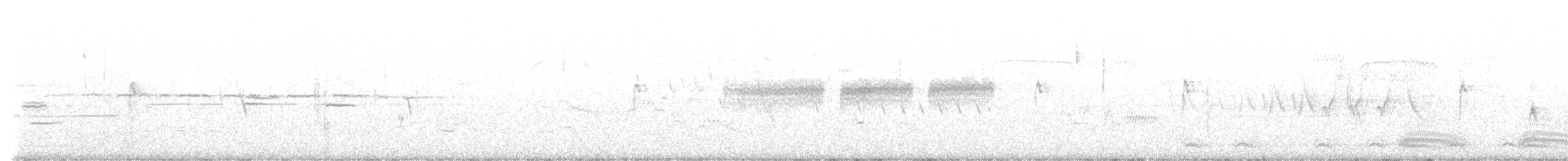 Карнатка бліда - ML589771091