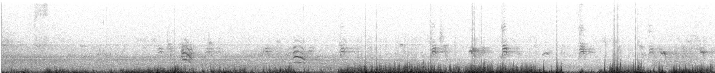 Weißbrustkleiber (aculeata/alexandrae) - ML589784781