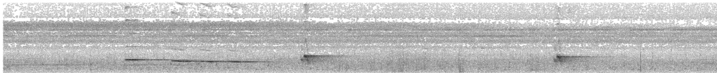 Graubrust-Ameisendrossel [hoffmanni-Gruppe] - ML58981771