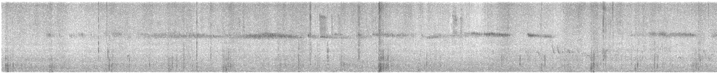 Broad-tailed Hummingbird - ML589817751