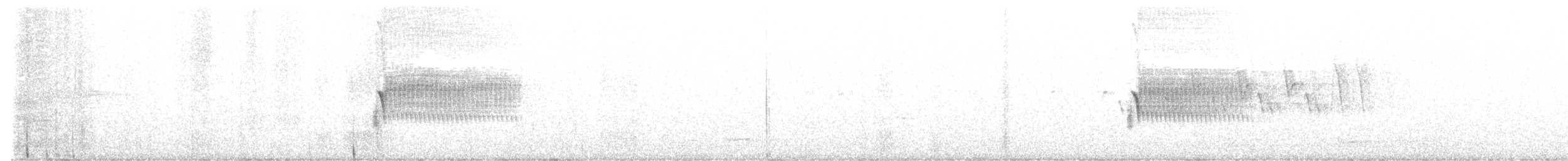 Тауї плямистий - ML589855001