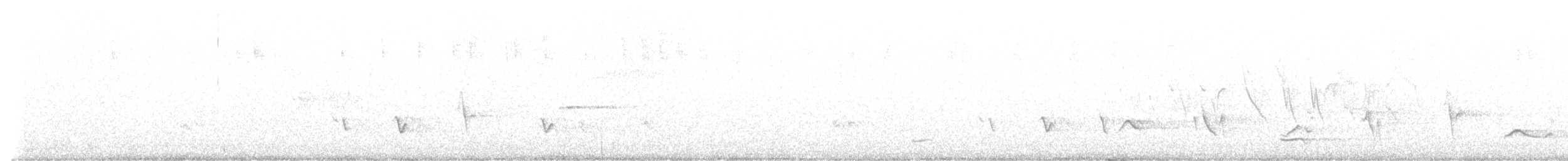 svarthodetykknebb - ML589855241