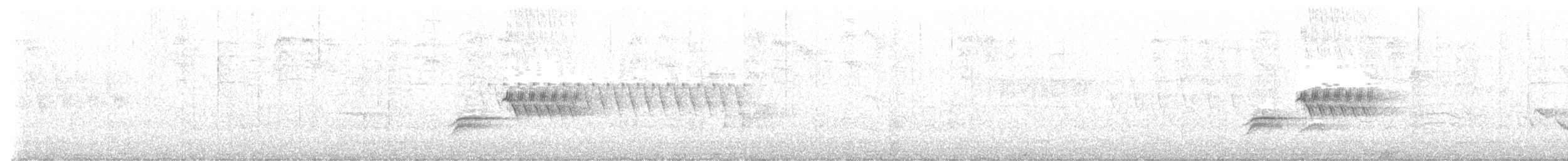 Kara Gözlü Junko (hyemalis/carolinensis) - ML589860171