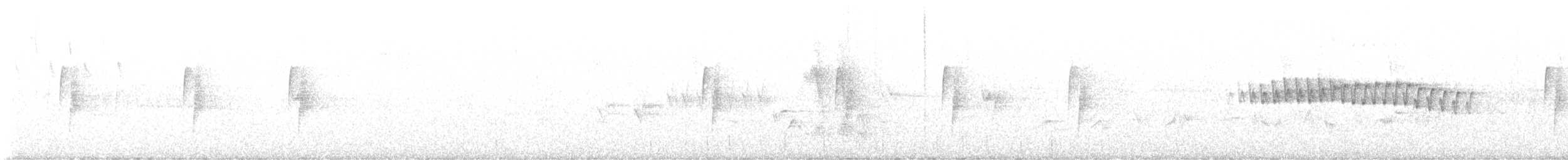 Least Flycatcher - ML589885851