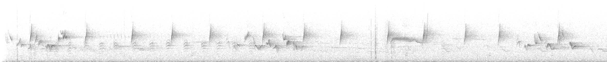 Western Wood-Pewee - ML589886591