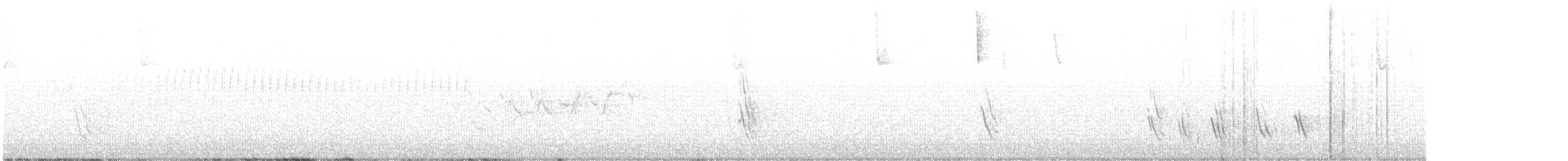 ムラサキツバメ - ML589906761