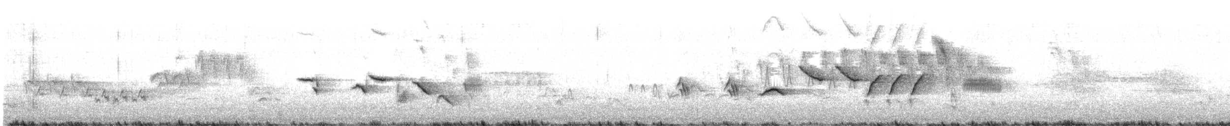 Bruant fauve (groupe schistacea) - ML589963921