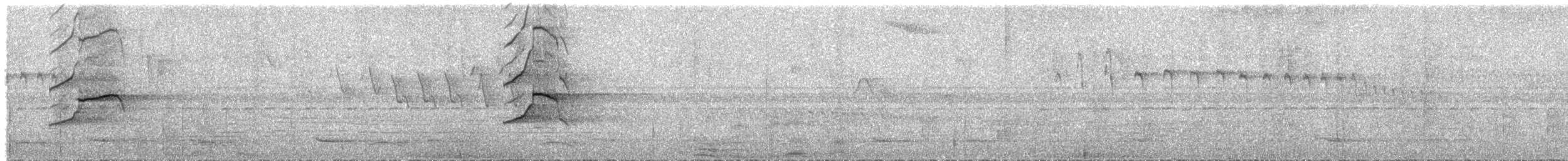 White Hawk - ML589969561