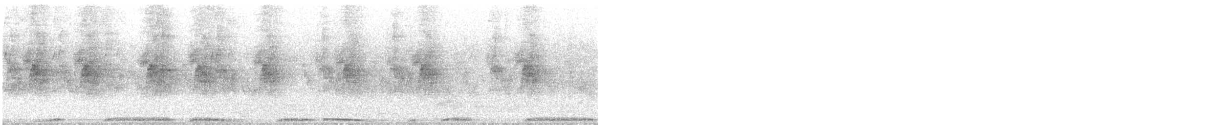 holub hřivnáč - ML590002411