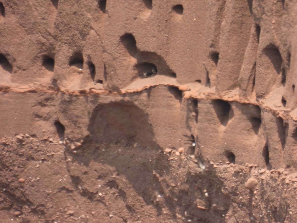 sandsvale - ML590027541