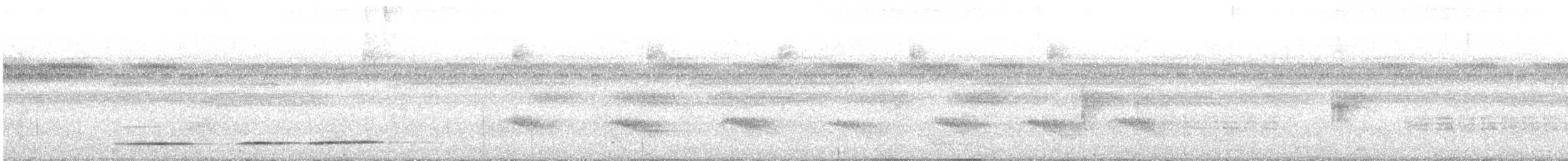 Undulated Tinamou - ML590047281