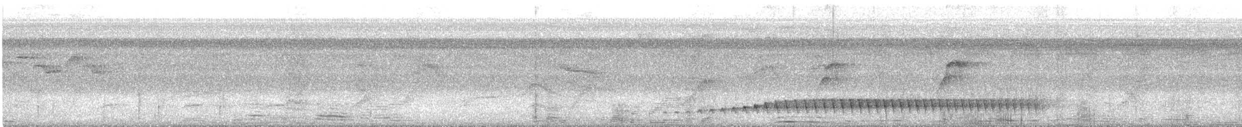 Bleigrau-Ameisenvogel - ML590058691