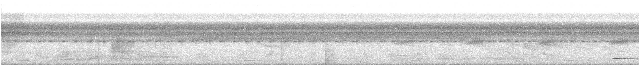 Undulated Tinamou - ML590058891