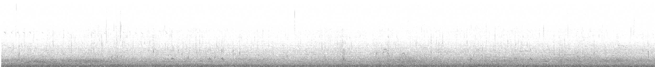 Малая морская чернеть - ML590069241