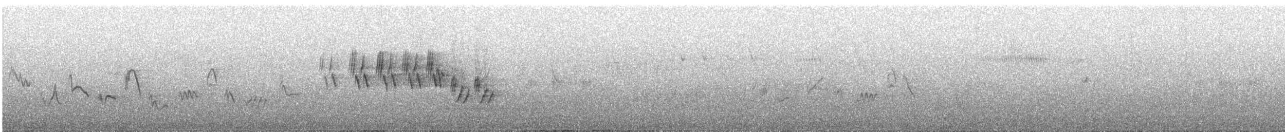 MacGillivray's Warbler - ML590114021