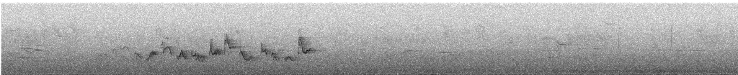 Western Warbling Vireo - ML590114501